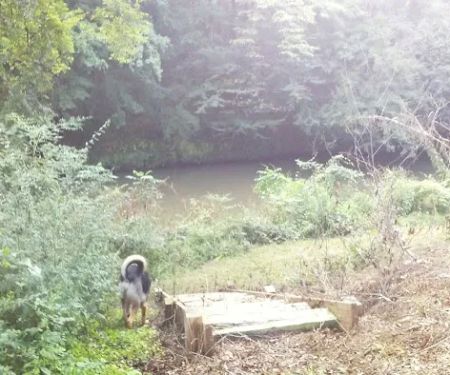 Omussee Creek RV Park