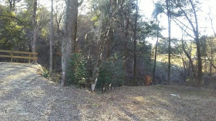 Omussee Creek RV Park 5