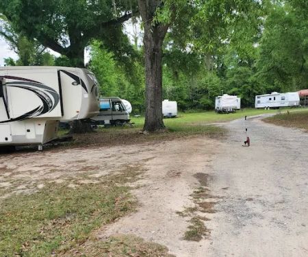 Shady Oaks RV Park