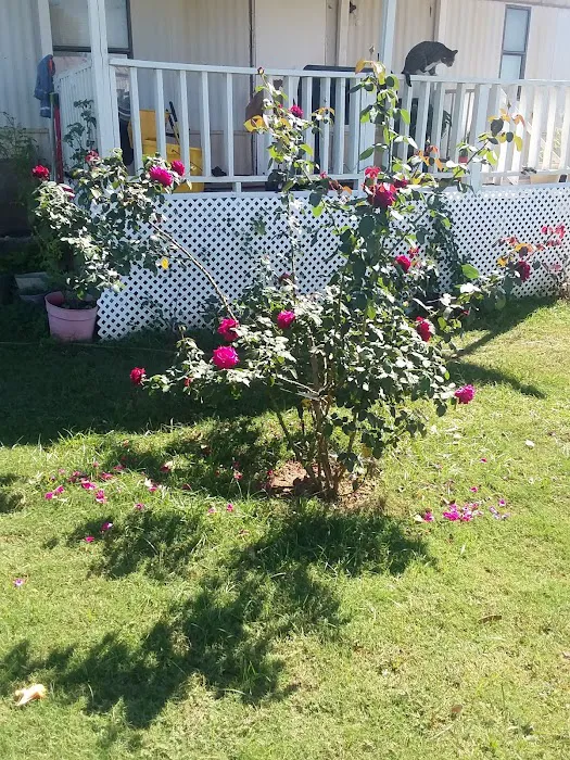 Lakewood Estates 6