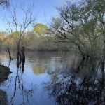 Mack Landing
