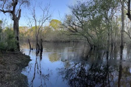 Mack Landing