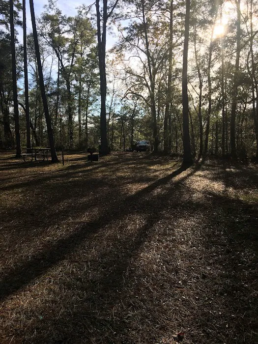 Mack Landing 8