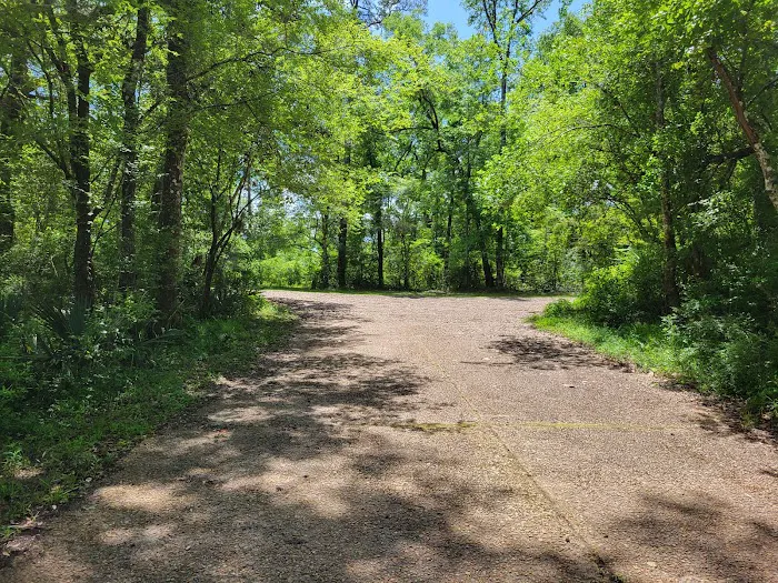 Hitchcock Lake Campground 1