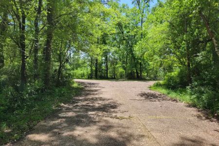 Hitchcock Lake Campground