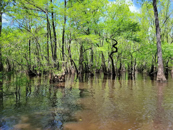 Hitchcock Lake Campground 3