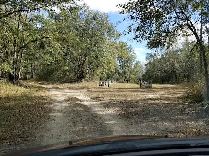 Hitchcock Lake Campground 8
