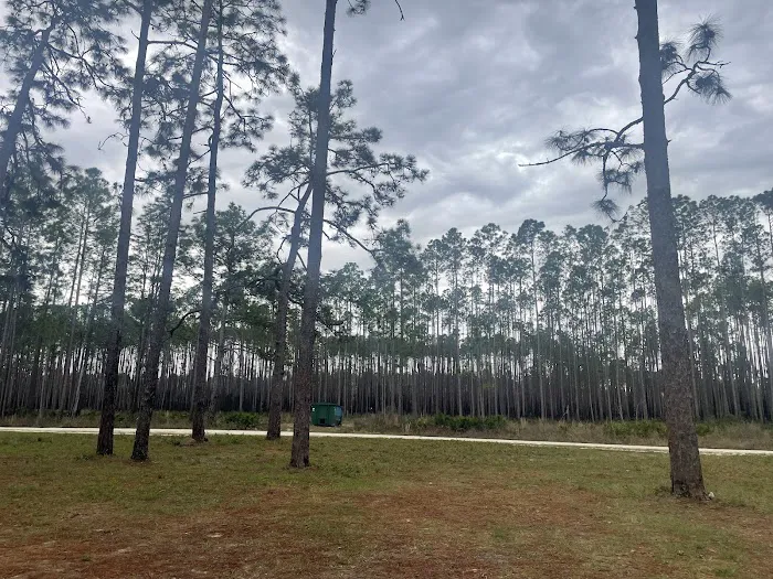 Buckhorn Camp 1
