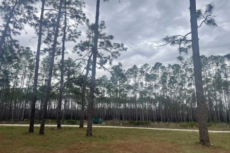 Buckhorn Camp