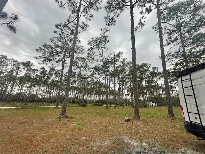 Buckhorn Camp 6