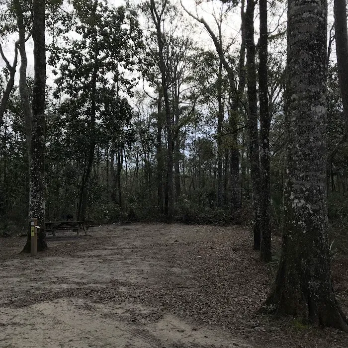 Wood Lake 3