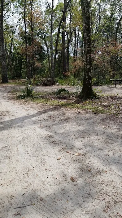 Wood Lake 5