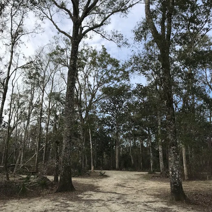Wood Lake 6