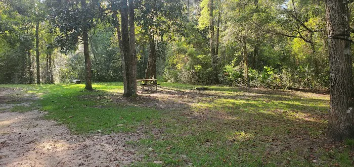 Wood Lake 7