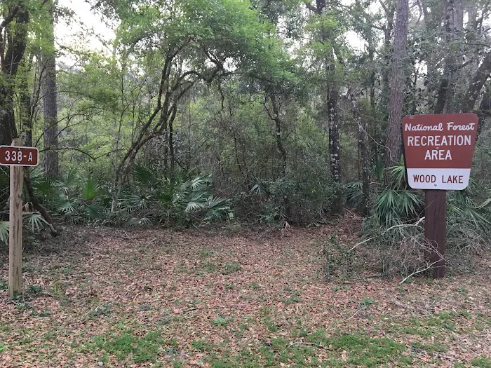 Wood Lake 8