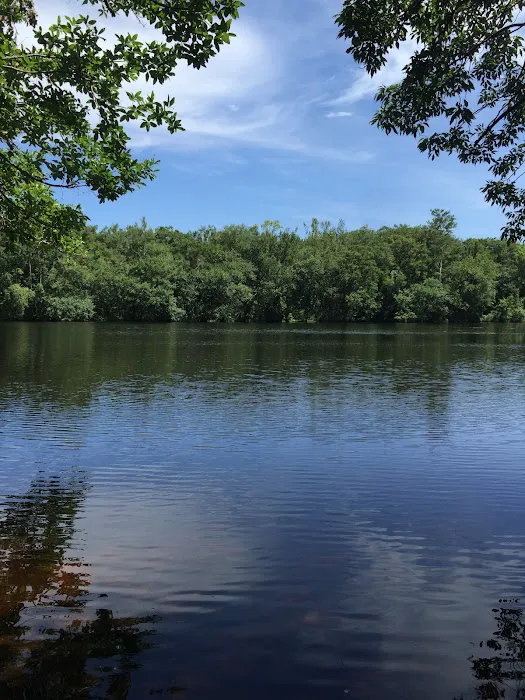 Wood Lake 9