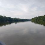 Hickory Landing