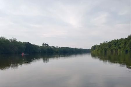 Hickory Landing