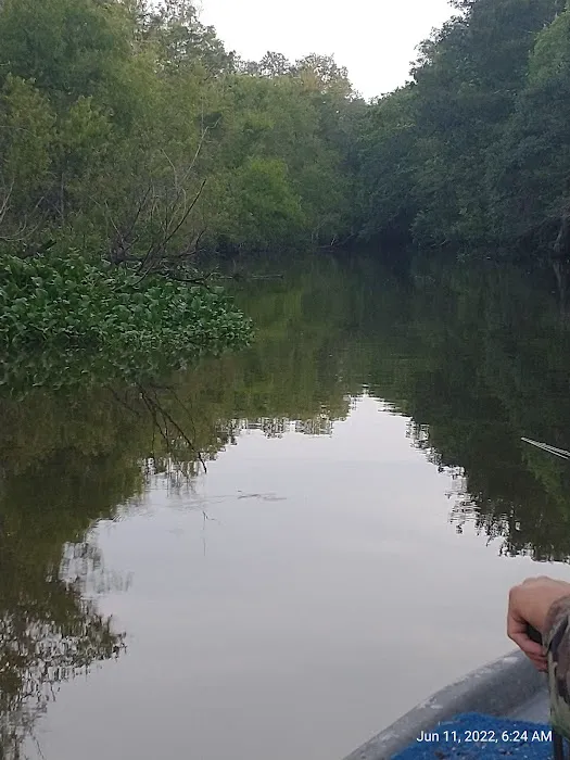 Hickory Landing 4