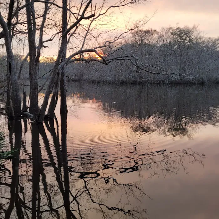 Hickory Landing 7