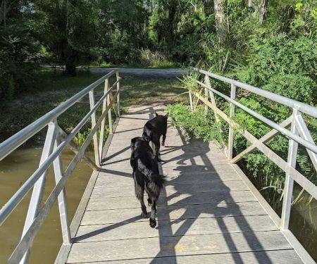 Forestry Department East Bay