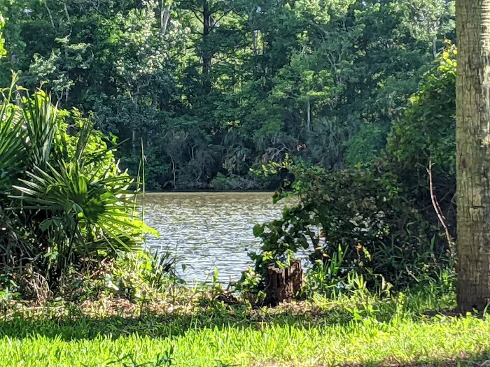 Forestry Department East Bay 2