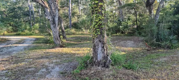 Forestry Department East Bay 6