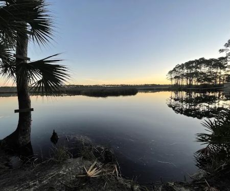 Tate's Hell State Forest Cash Creek Campground