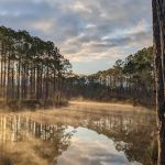 New River Primitive Campsite 8