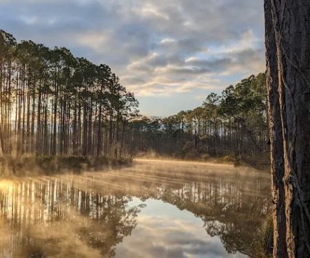 New River Primitive Campsite 8