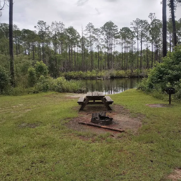 New River Primitive Campsite 8 7
