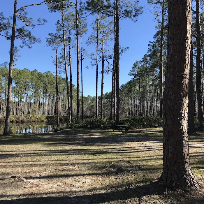 New River Primitive Campsite 8 8