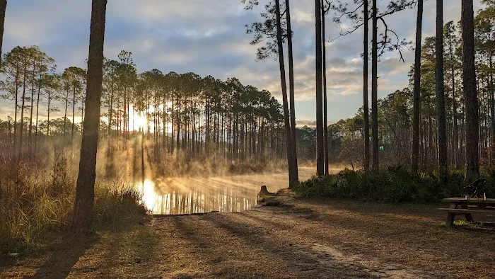 New River Primitive Campsite 8 10