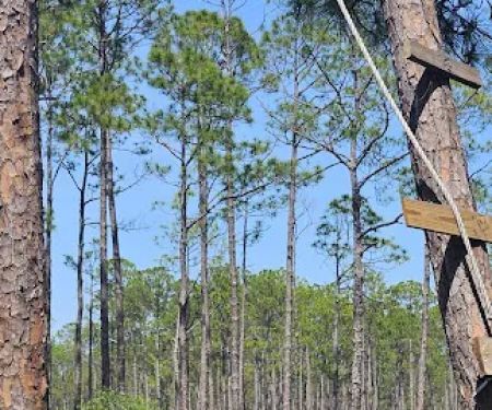 #9 Pope Place Campsite