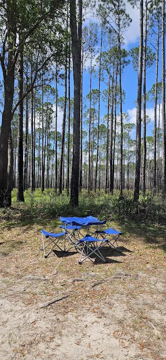 #9 Pope Place Campsite 2