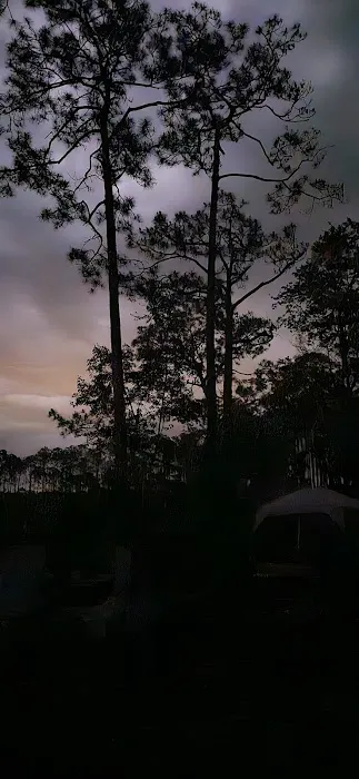 #9 Pope Place Campsite 8