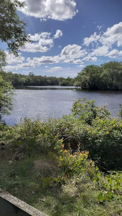Womack Creek Campground 4