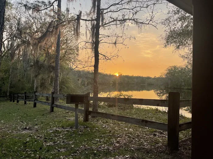 Womack Creek Campground 5