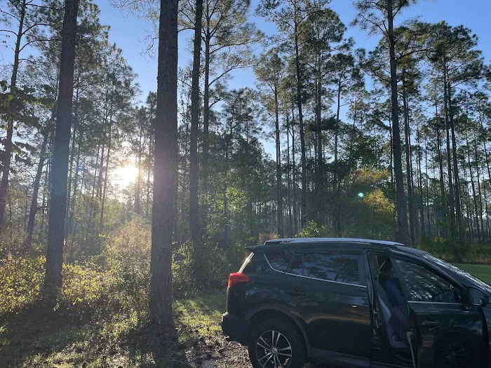 Womack Creek Campground 8