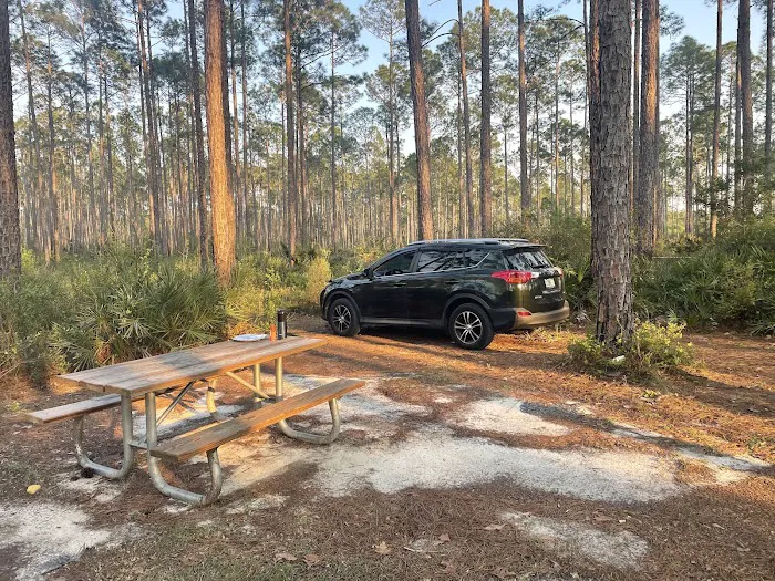 Womack Creek Campground 10