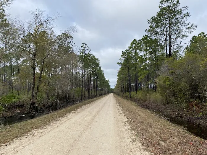 Rock Landing Campground 8