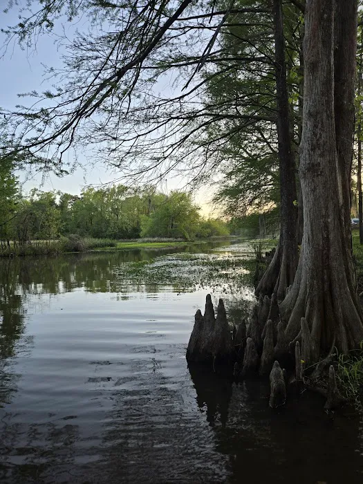 Hales Landing Campground 1
