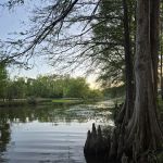 Hales Landing Campground