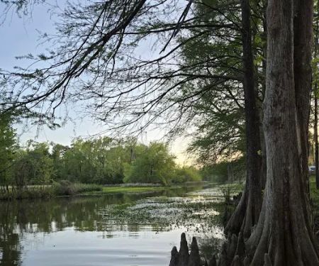 Hales Landing Campground