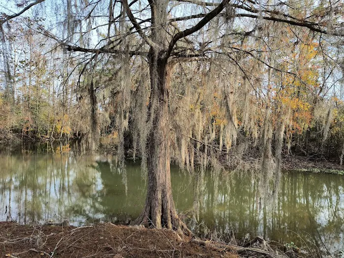 Hales Landing Campground 2