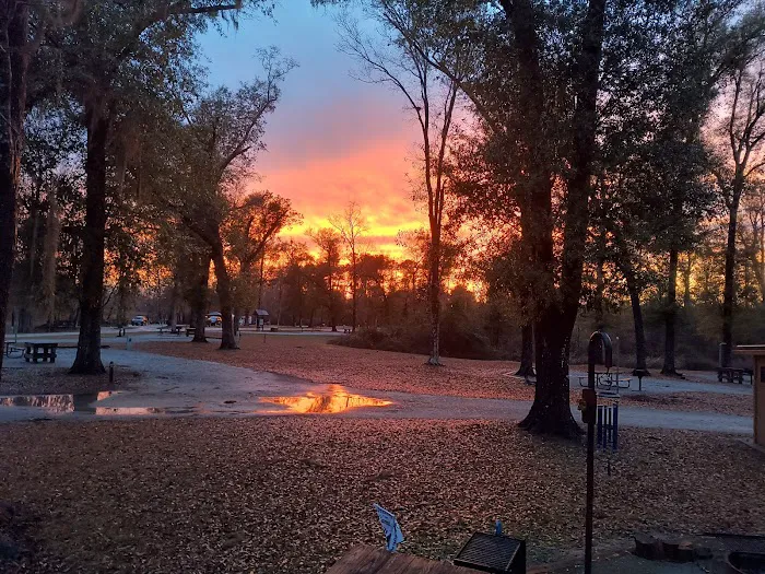 Hales Landing Campground 4