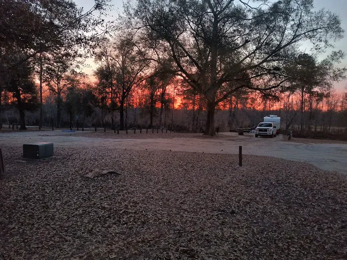 Hales Landing Campground 6