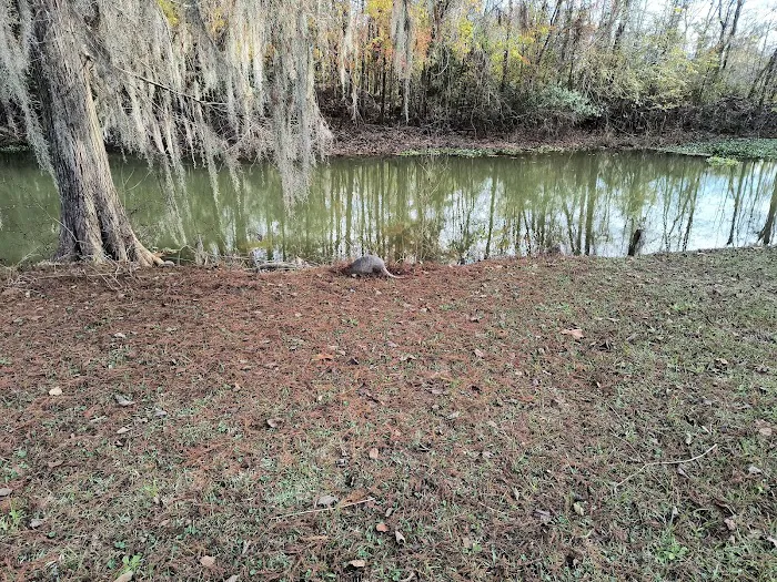 Hales Landing Campground 5