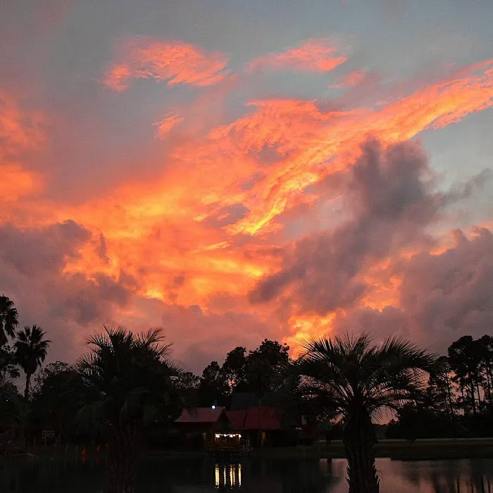 Koi RV Resort 7