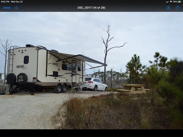 Salty Turtle RV 3